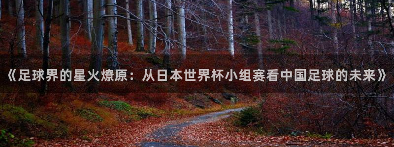 世界杯视频：《足球界的星火燎原：从日本世界杯小组赛看中国足球的未来》