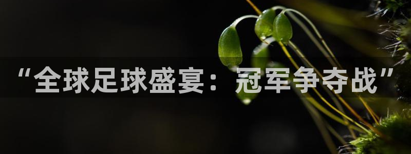 2026 世界杯：“全球足球盛宴：冠军争夺战”