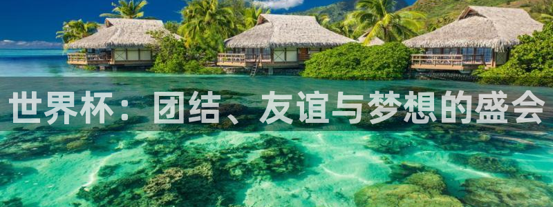 世界杯亚洲区预选赛赛程表：世界杯：团结、友谊与梦想的盛会