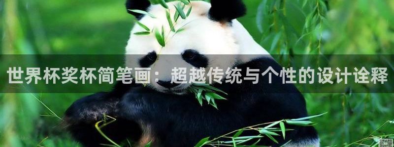 世界杯预选赛亚洲：世界杯奖杯简笔画：超越传统与个性的设计诠释