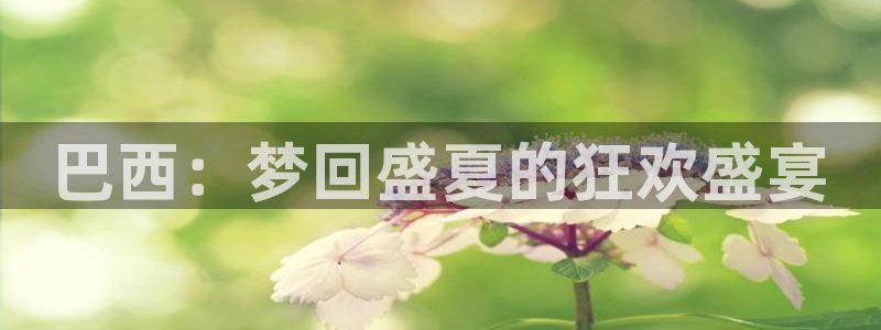 女足世界杯直播在线观看免费高清：巴西：梦回盛夏的狂欢盛宴