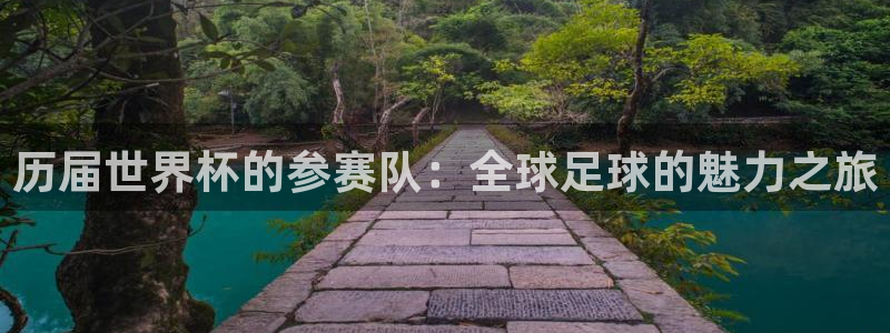 世界杯2026赛程表：历届世界杯的参赛队：全球足球的魅力之旅
