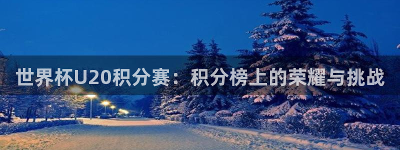 2026年世界杯对阵图：世界杯U20积分赛：积分榜上的荣耀与挑战