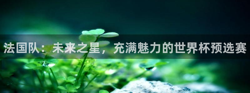 2026足球世界杯赛程：法国队：未来之星，充满魅力的世界杯预选赛
